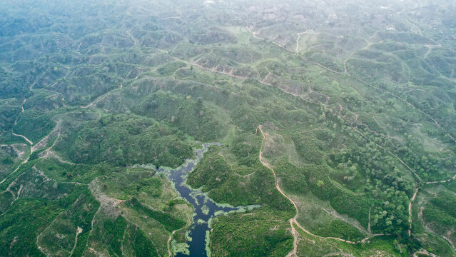 Aerial view of the lush green hills and winding paths of the Madhabpur Lake tea garden, with a narrow water channel snaking through the landscape in Moulvibazar, Sylhet Division, Bangladesh.