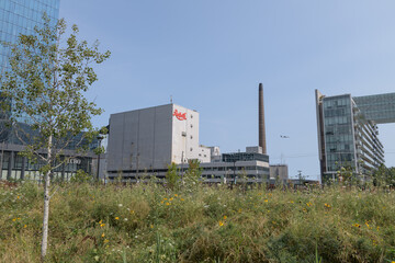 Fototapeta premium wide, distant view of Redpath Sugar Refinery located at 95 Queens Quay E (seen from 50 Queens Quay East Park), Toronto