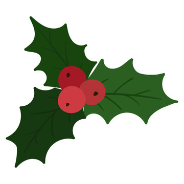Christmas holly branch with three red berries in the center, flat style vector icon.