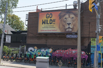Fototapeta premium wall mounted billboard with advertising for African Lion Safari at H P Variety Store & Groceries 235 Broadview Av at Dundas St E, Toronto