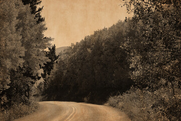 Obraz premium Vintage sepia road through forest with trees