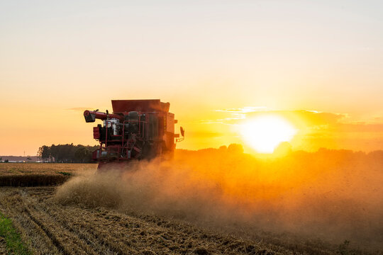 The combine is harvesting the wheat in the evening