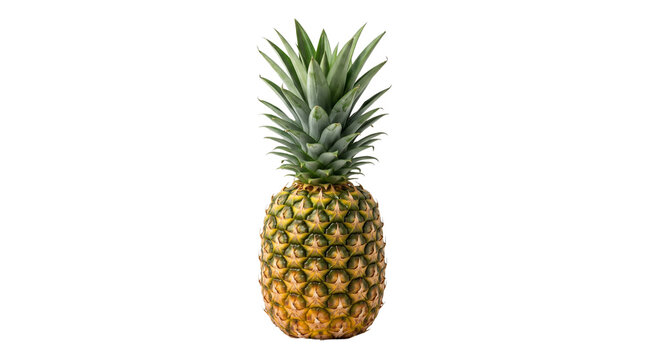Fresh ripe pineapple with green spiky leaves isolated on a clean white background for design
