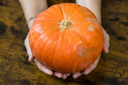 Mains pr&eacute;sentant potimarron orange entier