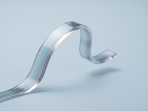 Liquid Crystal Elastomer Strip with Programmable Curvature