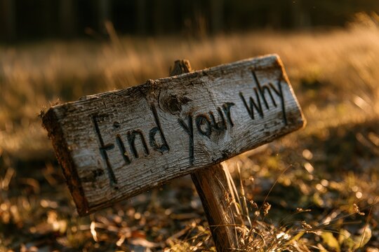 Rustic wooden sign with uplifting text in a sunlit outdoor setting