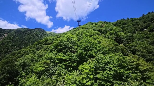 Mountain Forest Ropeway View, Biwako Valley, Otsu, Shiga, Jul 26th, 2025