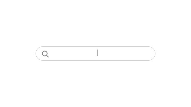 Search bar interface animation showing a blinking cursor on white background for web video footage