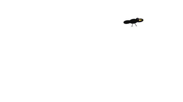 Animated black crow flapping wings across white screen in creative minimalist digital video motion clip