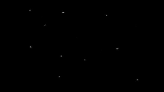 Glowing digital spider creatures crawling across dark black surface in rhythmic motion animation video footage style