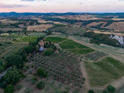 Aerial view of a traditional farmhouse surrounded by lush vineyards and olive groves set amidst the rolling hills of the Val d'Orcia region in Pienza, Tuscany, Italy.