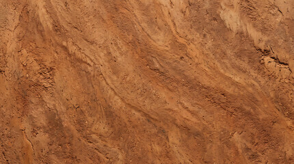 Fototapeta premium Close-up View of Textured Rustic Brown Soil Surface with Natural Patterns and Organic Variations