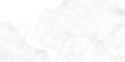 Abstract topography pattern seamless lines sea map modern design white background. Abstract digital topographic contour map concept space geometric strip grid line. Natural discovery of maps. © coal digger