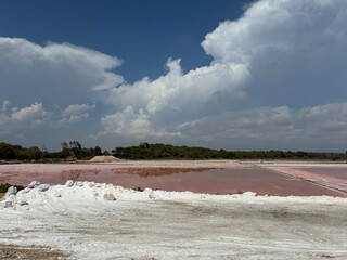 Maiorca