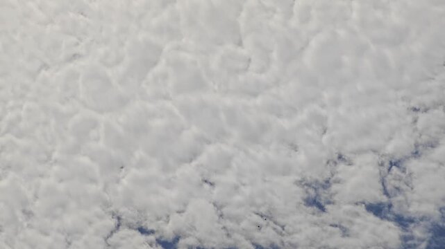 Altocumulus clouds texture with flying birds background.