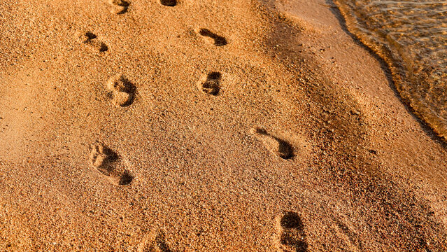 Deep human footprints in sand leading toward horizon on a quiet beach at sunrise.