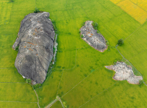 Aerial view of Cross-Shaped Rocks surrounded by rice fields in Dong Nai, Vietnam, during rice harvest season.