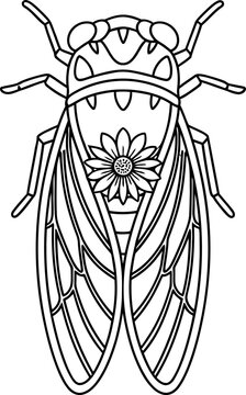 Cicada Insect with Daisy Flower Illustration - Line Art