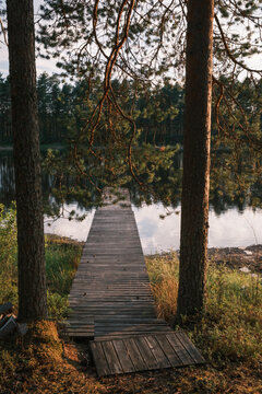 View of a wooden pier extending into a calm lake surrounded by pine trees in the forest in Finland.