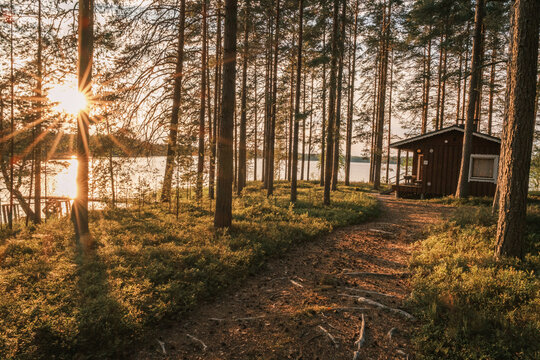 View of a traditional wooden cabin nestled in a pine forest by a serene lake during golden hour in Finland.