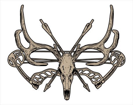 deer skull with horns, deer skull with compound bow