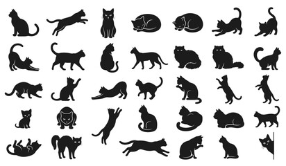 Fototapeta premium Collection of Black Cat Silhouettes in Various Feline Poses and Positions Vector Set