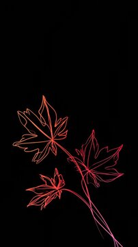Maple leaves are shown in a continuous gradient from orange to pink against a dark background, highlighting autumn themes and design.