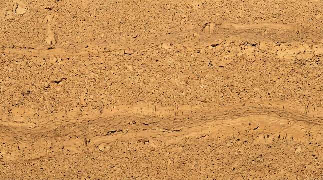 Close-up of layered sedimentary rock showcasing distinct striations and textures in earthy tones capturing geological formations