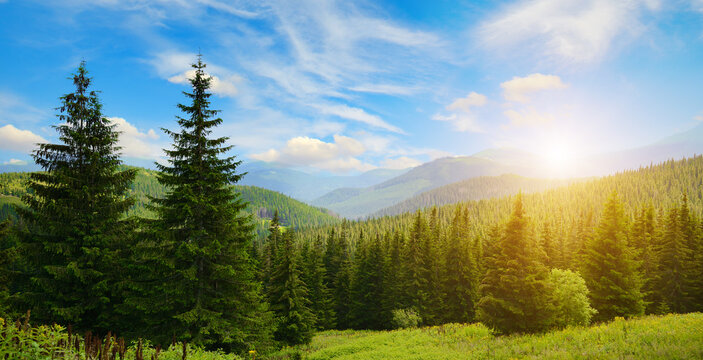 Tranquil Sunrise Scene with Forested Hills and Blue Sky Horizon