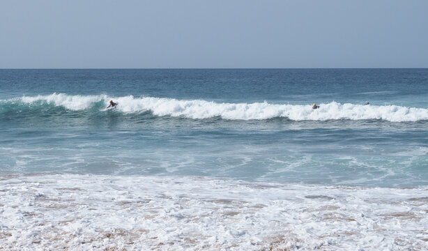 surf
