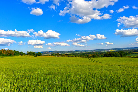 Weite gr&uuml;ne H&uuml;gellandschaft mit Blick auf das Gr&uuml;ndautal und Nieder-Gr&uuml;ndau unter blauem Himmel in Hessen 