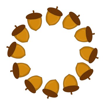 Acorn circular frame or wreath on white background