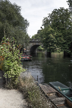View of the River Cherwell with traditional punting boats moored near a stone bridge, surrounded by lush green trees and flowering plants in Oxford, England, United Kingdom.