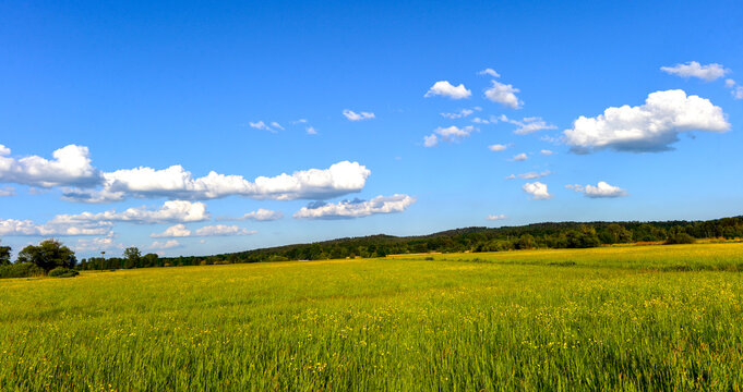Idyllische Auenlandschaft im Kinzigtal bei Langenselbold in Hessen unter blauem Sommerhimmel