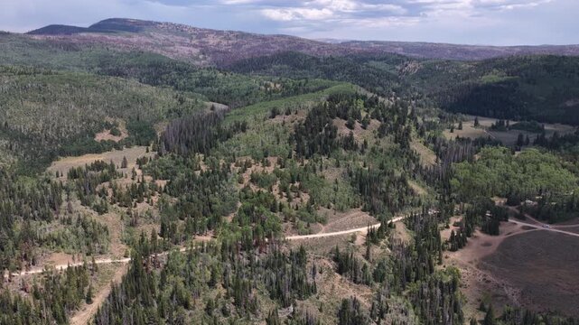 Aerial of Uinta Wasatch Cache National Forest landscape with dirt roads in Utah in summer on Soapstone Basin Road
