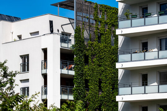Across the wall, greenery climbs a modern residential facade as balconies and windows shape the urban architecture, with plants adding vertical texture.