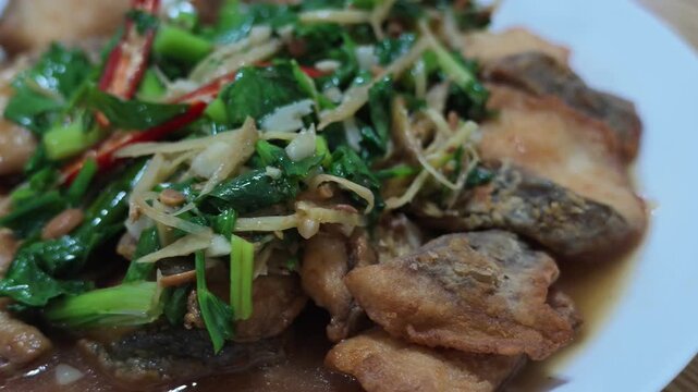Close up of Thai Chinese style stir fried fish with shredded ginger, Chinese celery, spring onion and red chili in brown soy sauce on a white plate.