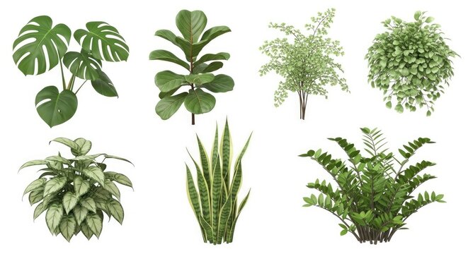 A collection of six different potted plants is displayed against a plain white background.