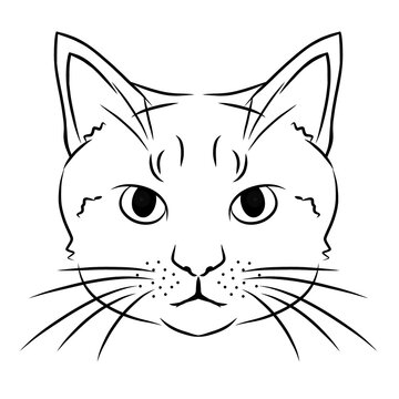 Cat head vector outline illustration