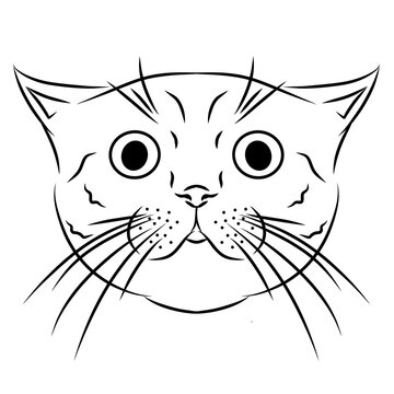 Cat head vector outline illustration