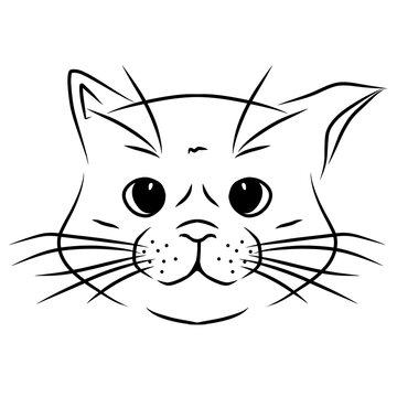 Cat head vector outline illustration