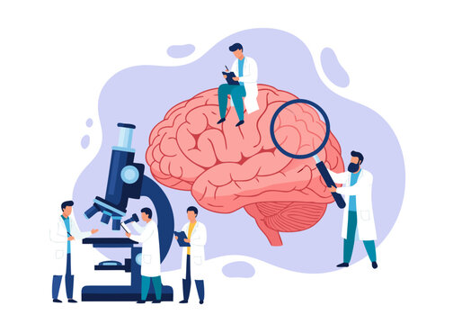 Vector illustration of scientists analyzing a human brain with a microscope and magnifying glass, front view on isolated background