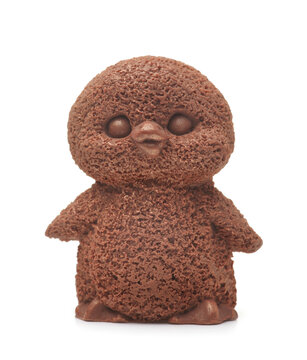 Cute chocolate penguin chick