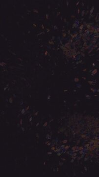 Vertical dark background with vivid tropical fish moving in contrasting directions depicting inner conflict and bipolar thoughts