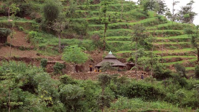 A hut stands on the terraced hillside near Konso in Southern Ethiopia.