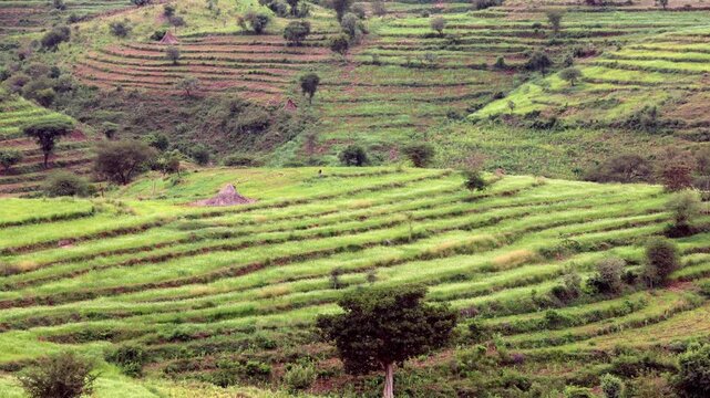 The terraced farm fields on the Konso region of Southern Ethiopia. 