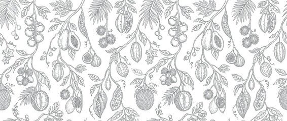 Fototapeta premium Botanical illustration of exotic fruits and leaves on transparent background.