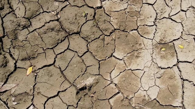 Cracked Dry Earth Soil Surface, Camera Moving Parallel to Ground