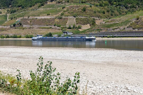August 2026, Extremes Niedrigwasser am Mittelrhein***Der Rhein bei Trechtingshausen