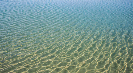 Fototapeta premium Green algae growing underwater near rocky shore